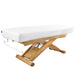 Equipro Elite Spa EI-508 Electric Treatment Table